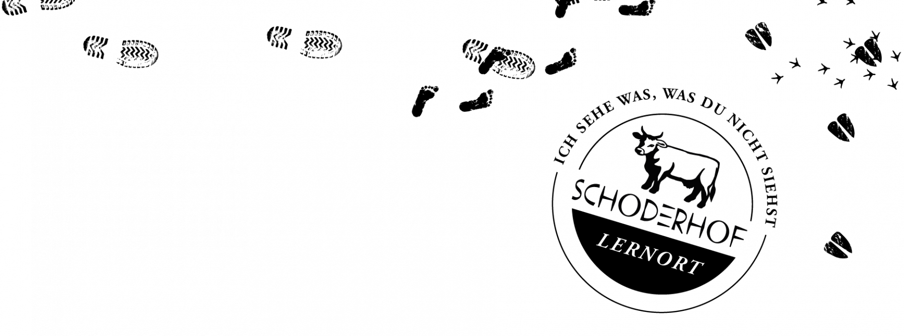 Erstes Foto