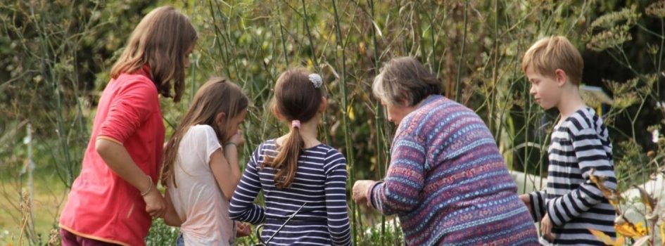 Schulbauernhof Ummeln