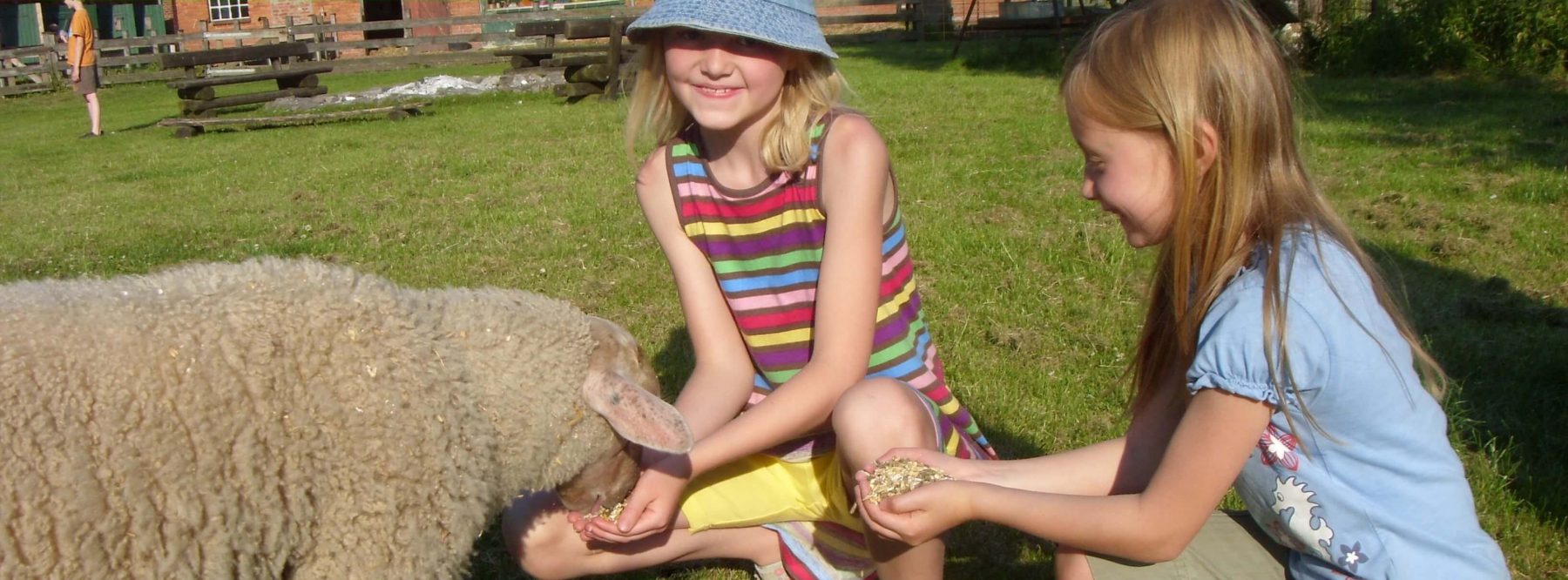 Animal Farm