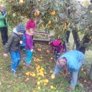 Lernort Kunzenhof e.V.